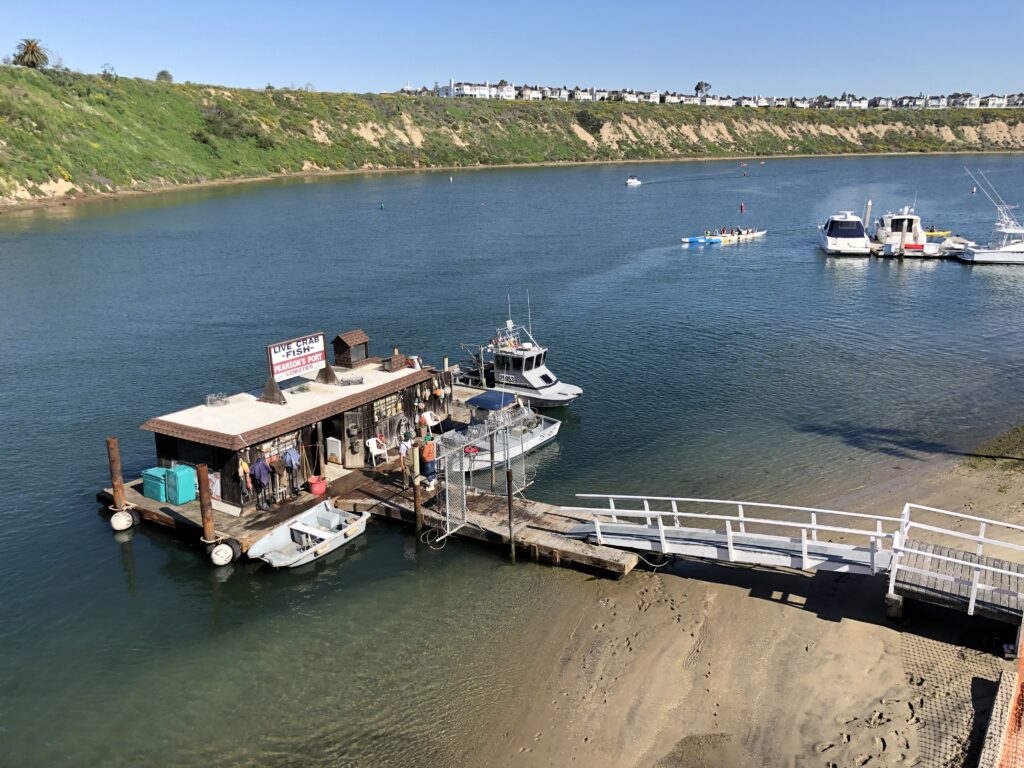 Fishing dock at Pearsons Point featuring a seafood shop, surrounded by boats on calm water, with a sandy shore and green hillside in the background.